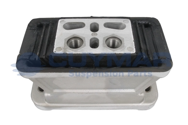 Mounting, engine (1135418)