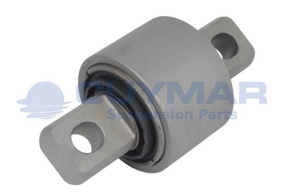 Mounting, control/trailing arm (4908288)