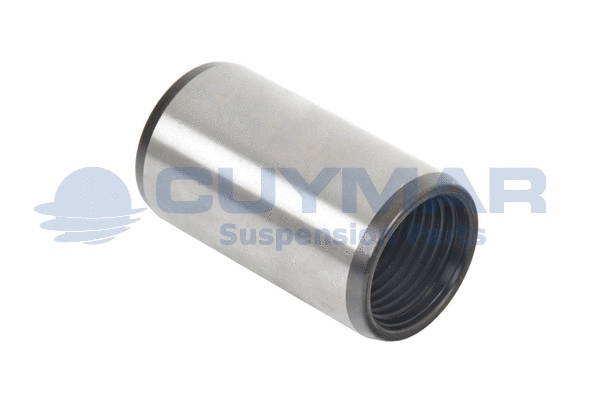 Bush, spring eye (0412666)