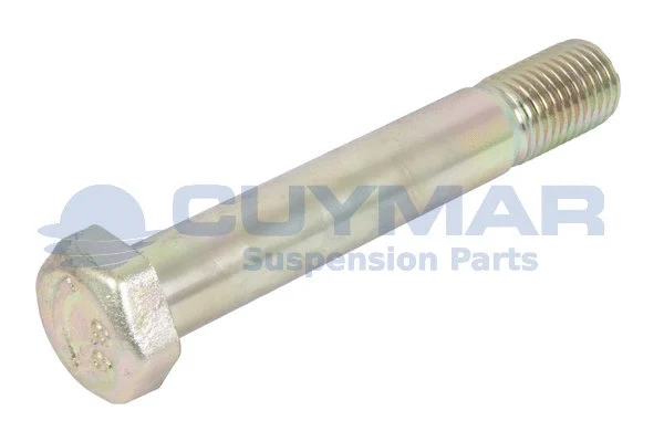 Screw (2913143Z8.8)