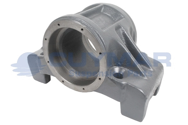 Mounting, leaf spring (3308167)