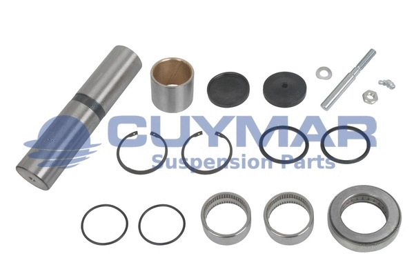 Repair Kit, kingpin (5902013)