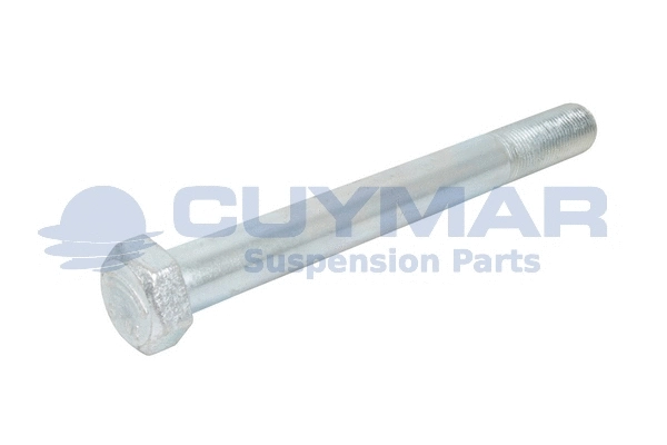 Screw (9602420020010)