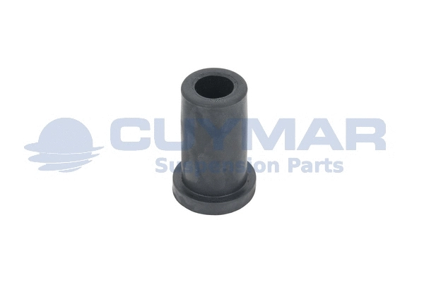 Bushing, leaf spring (4823028)