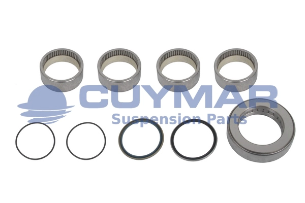 Repair Kit, kingpin (5908215)