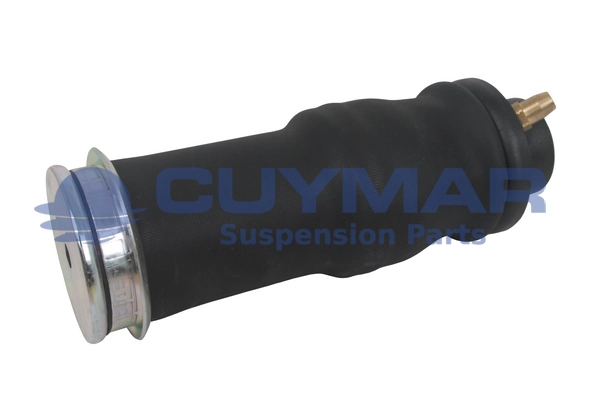 Shock Absorber, driver cab suspension (4210015)