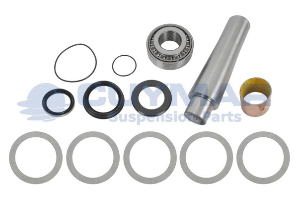 Repair Kit, kingpin (5910284)