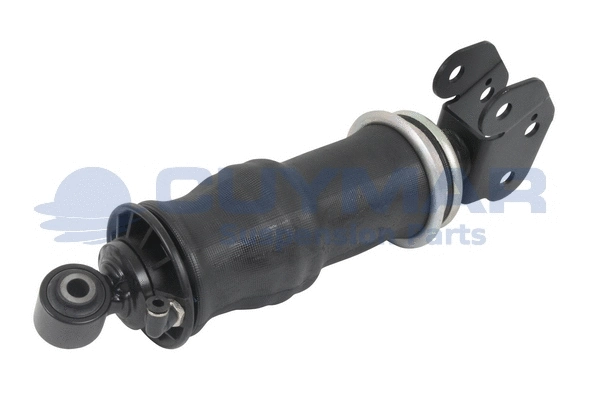 Shock Absorber, driver cab suspension (1102008)
