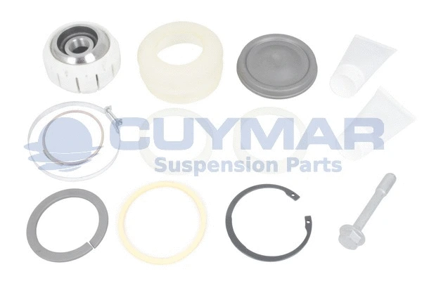 Repair Kit, control/trailing arm (4907295)