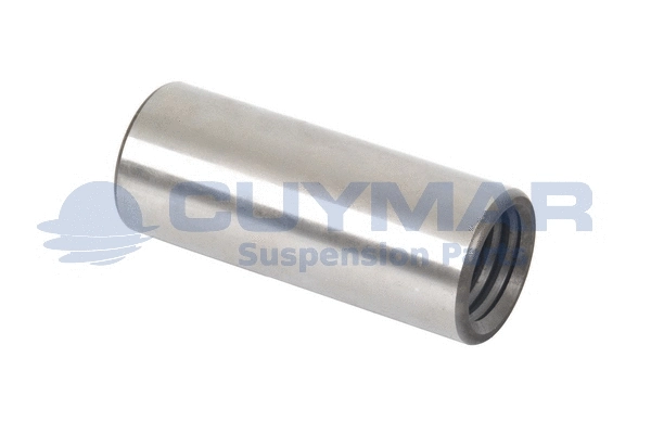 Bushing, leaf spring (0410169)