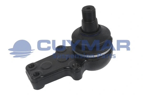 Ball Joint (5905994)