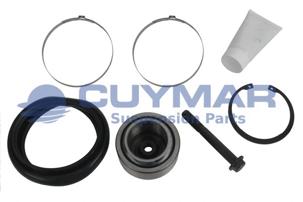 Repair Kit, control/trailing arm (4902583)