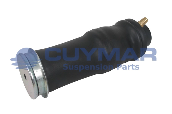 Shock Absorber, driver cab suspension (4210013)