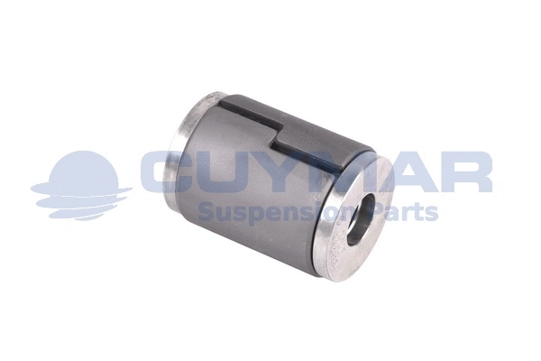 Bushing, leaf spring (3803764)