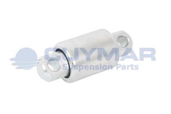 Mounting, control/trailing arm (3838033)