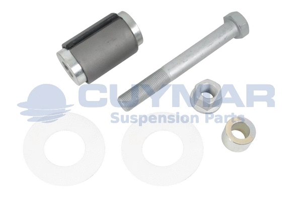 Bushing, leaf spring (3808142K)