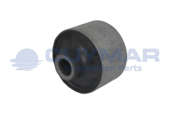 Mounting, control/trailing arm (3729024)