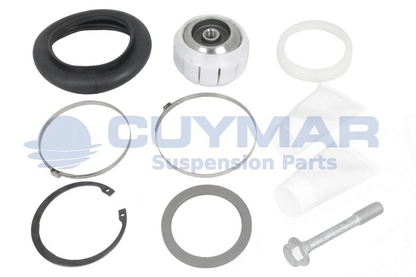 Repair Kit, control/trailing arm (4912006)