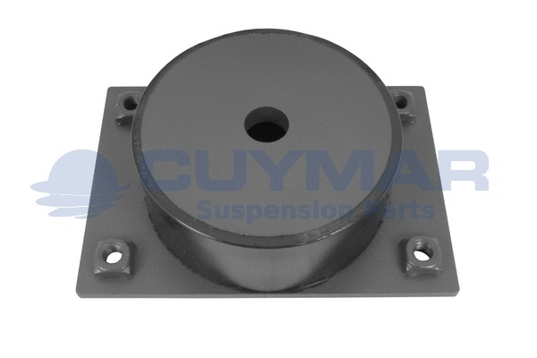 Mounting, engine (1112363)