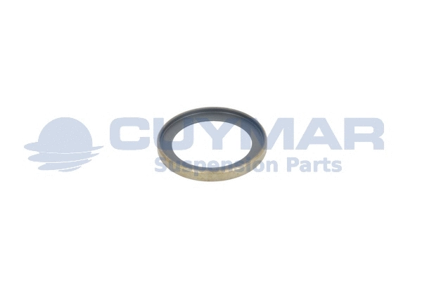 Spacer Bush, spring eye (3612725)