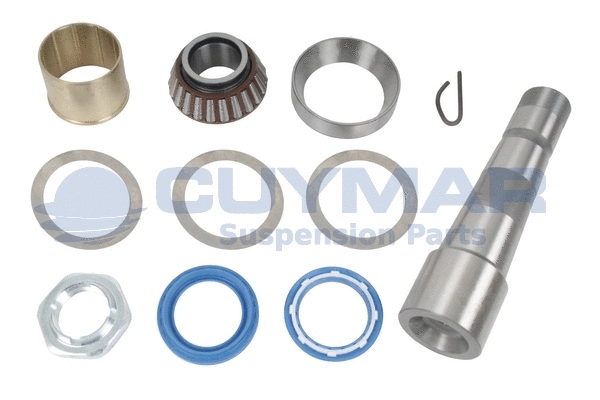 Repair Kit, kingpin (5902008)