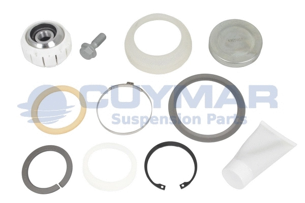 Repair Kit, control/trailing arm (4905957)
