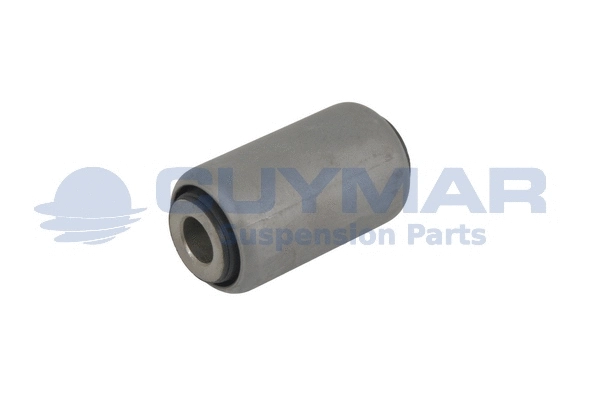 Bushing, leaf spring (3803104)