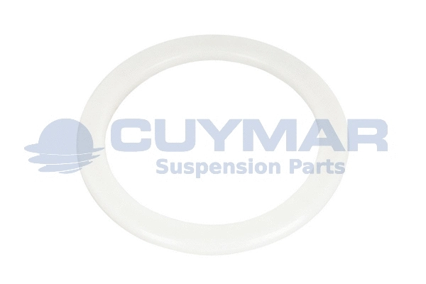 Spacer Ring, spring link console (3308050)