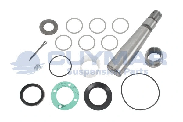 Repair Kit, kingpin (5912267)
