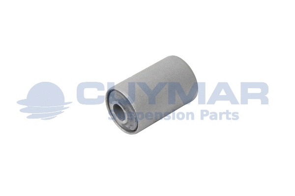Bushing, leaf spring (3822016)