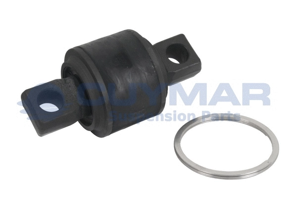 Repair Kit, control/trailing arm (4910392)