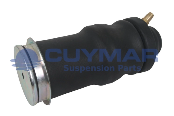 Shock Absorber, driver cab suspension (4210012)