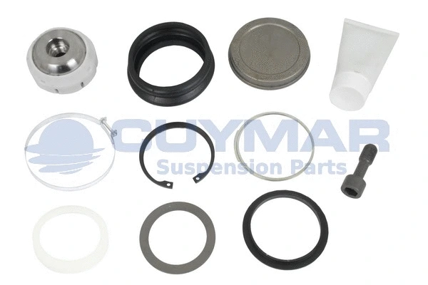 Repair Kit, control/trailing arm (4905958)