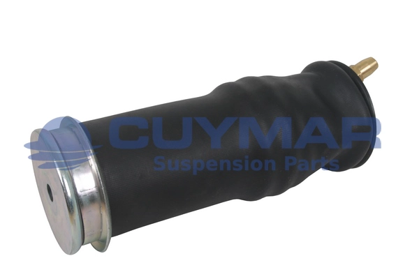 Shock Absorber, driver cab suspension (4210016)