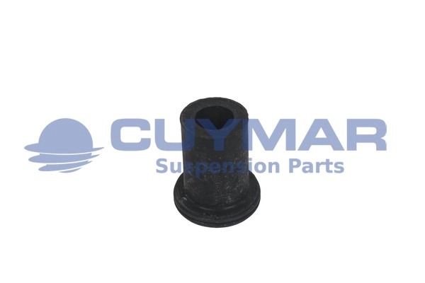 Bushing, leaf spring (3829006)