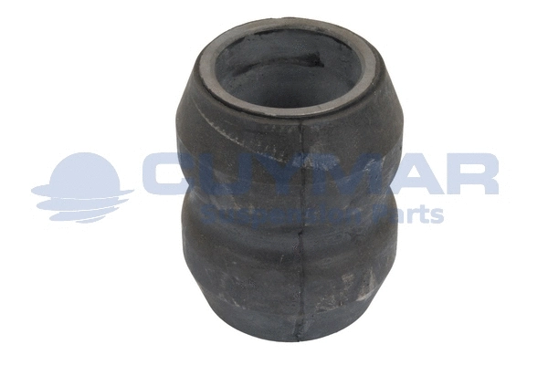 Bushing, leaf spring (3702742)