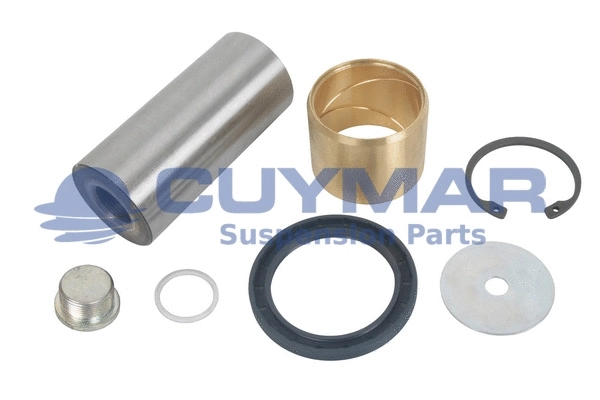 Repair Kit, kingpin (5908216)