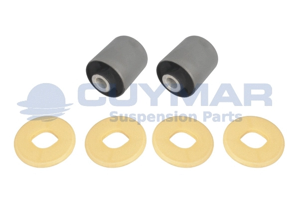 Repair Kit, driver cab suspension (4210004K2)