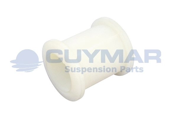 Bushing, axle beam (3607029)