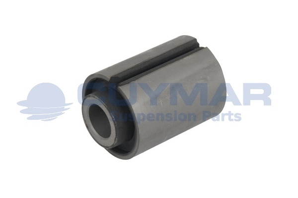 Bushing, leaf spring (3802723)