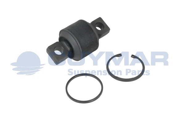 Repair Kit, control/trailing arm (4908108)