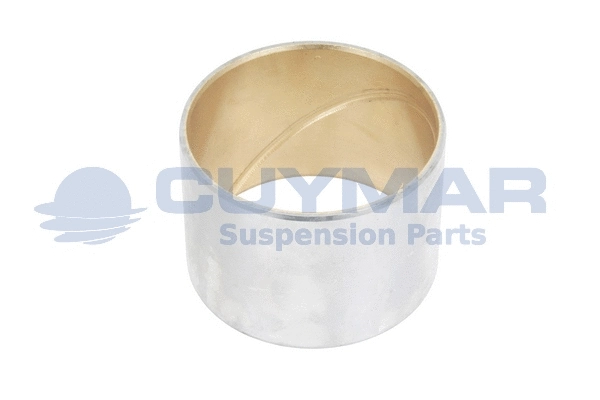 Bushing, leaf spring hanger (3403262)