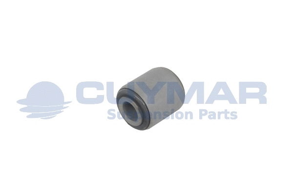 Bushing, stabiliser bar (4705008)