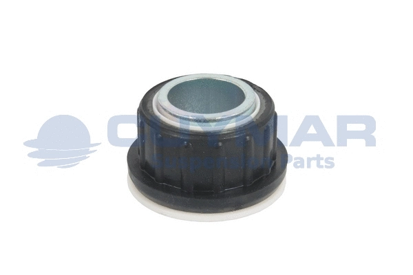 Bushing, stabiliser bar (4705640)