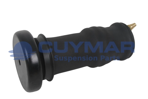 Shock Absorber, driver cab suspension (4210014)