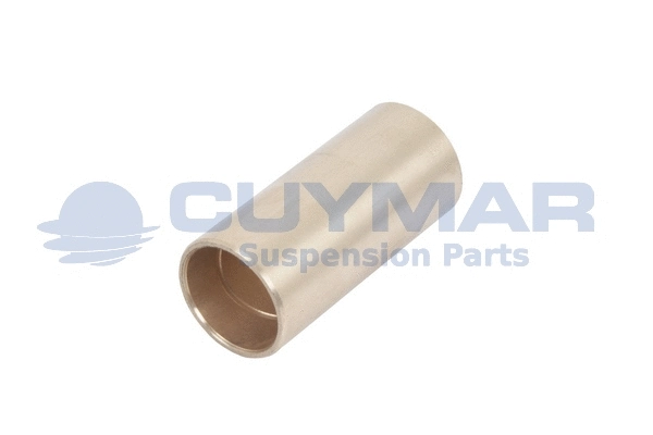 Bushing, leaf spring (0308123)