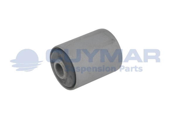 Bushing, leaf spring (3825030)