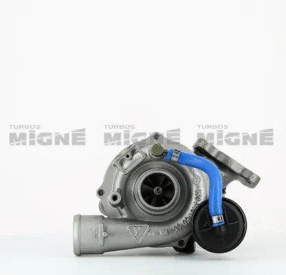 Charger, charging (supercharged/turbocharged)