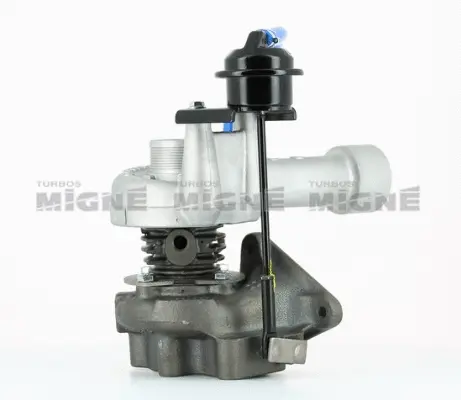 Charger, charging (supercharged/turbocharged)