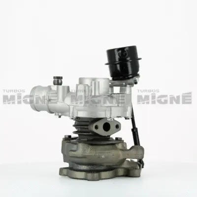 Charger, charging (supercharged/turbocharged)